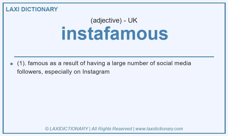 Definition instafamous in British English