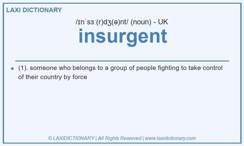 Definition insurgent in British English