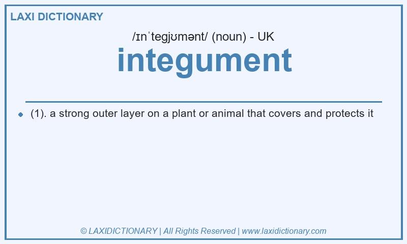 Definition integument in British English