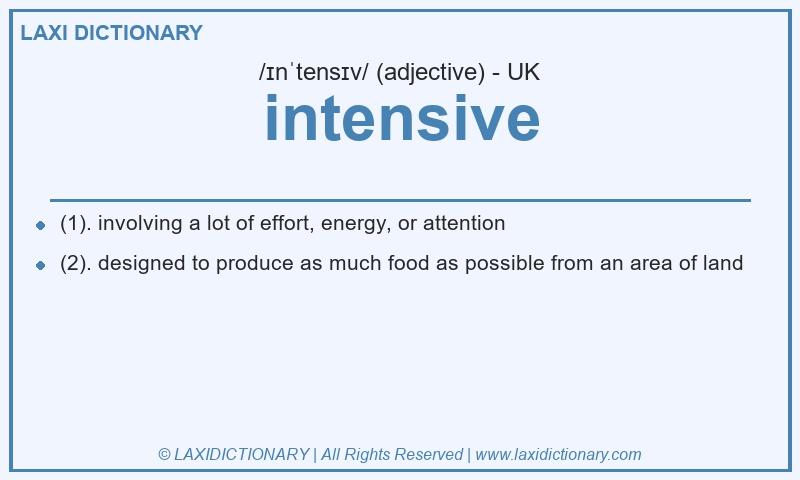 Definition intensive in British English
