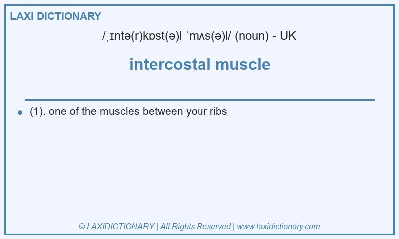 Definition intercostal muscle in British English