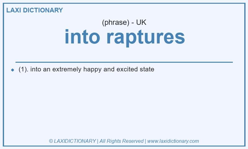 Definition into raptures in British English