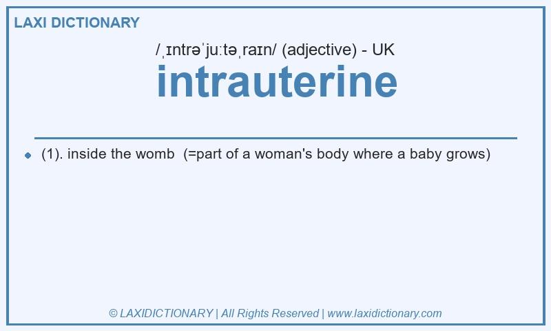 Definition intrauterine in British English