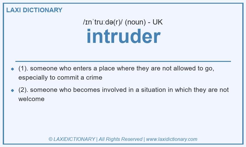 Definition intruder in British English