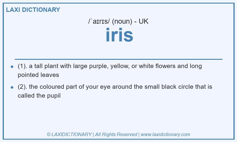 Definition iris in British English