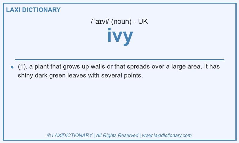 Definition ivy in British English