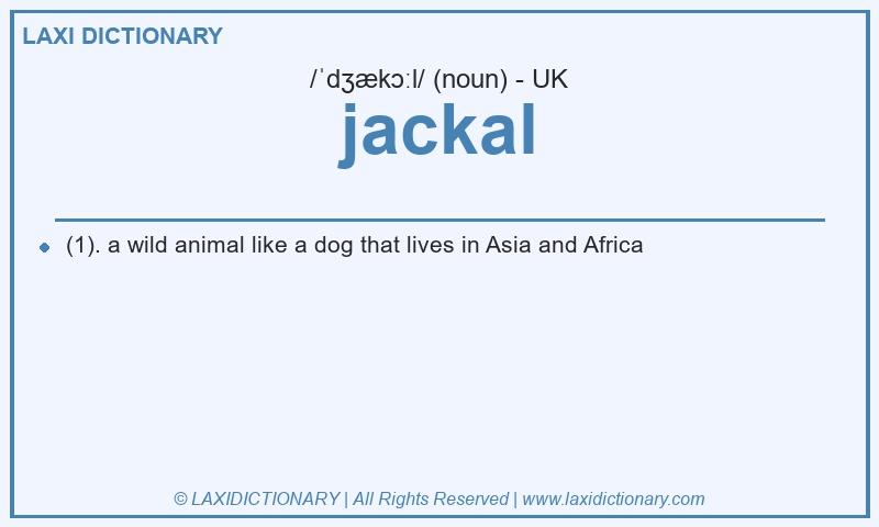 Definition jackal in British English