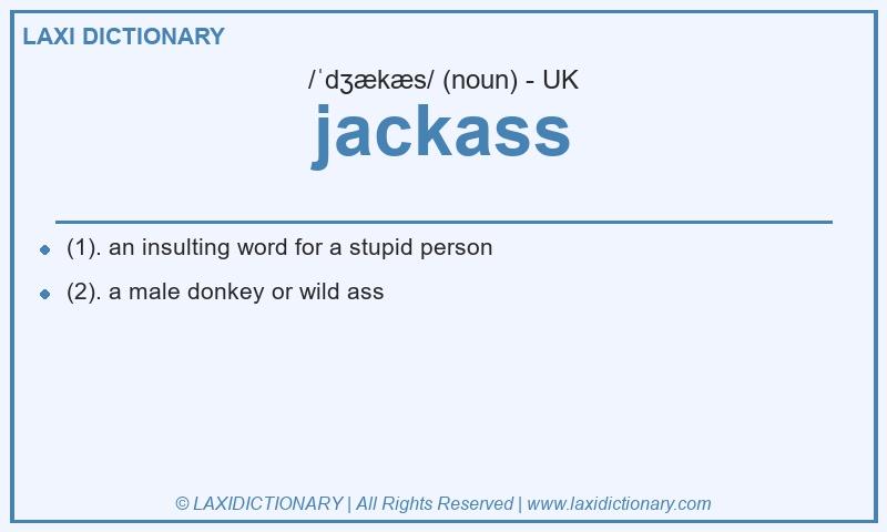 Definition jackass in British English