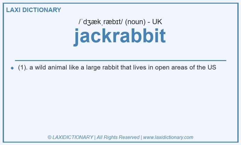 Definition jackrabbit in British English
