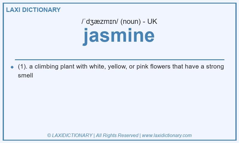 Definition jasmine in British English