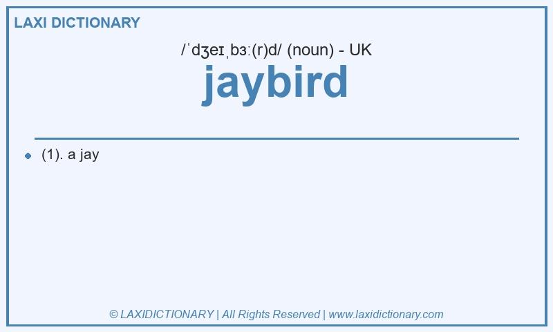 Definition jaybird in British English