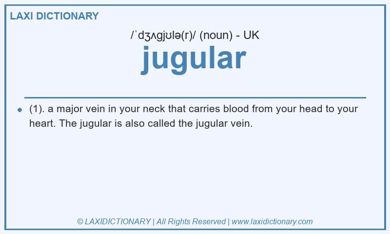 Definition jugular in British English