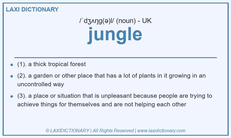 Definition jungle in British English