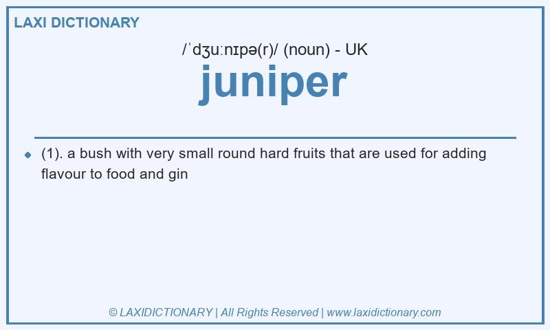 Definition juniper in British English