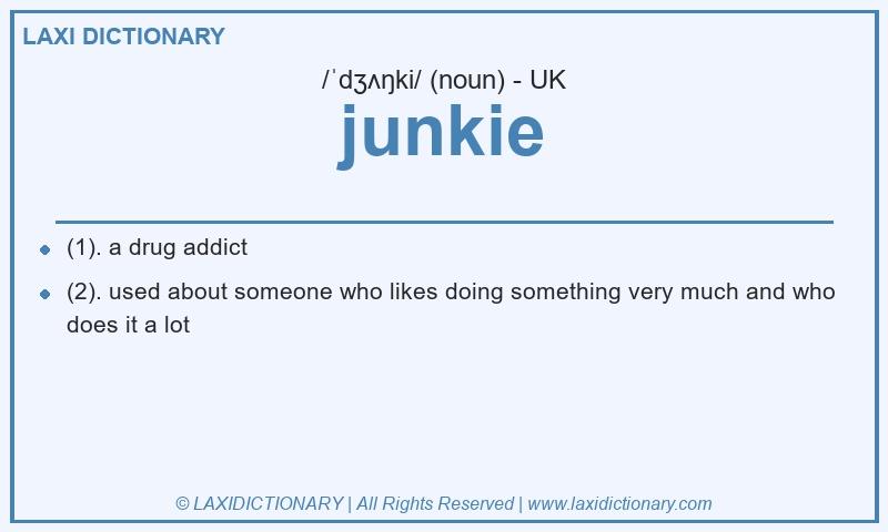 Definition junkie in British English