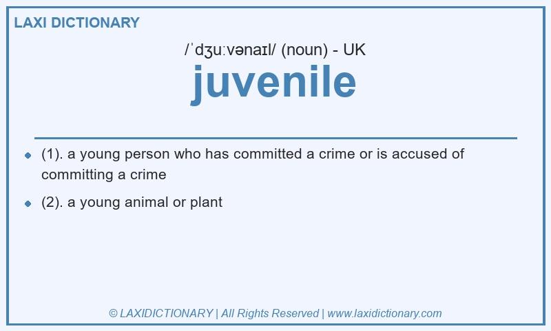 Definition juvenile in British English