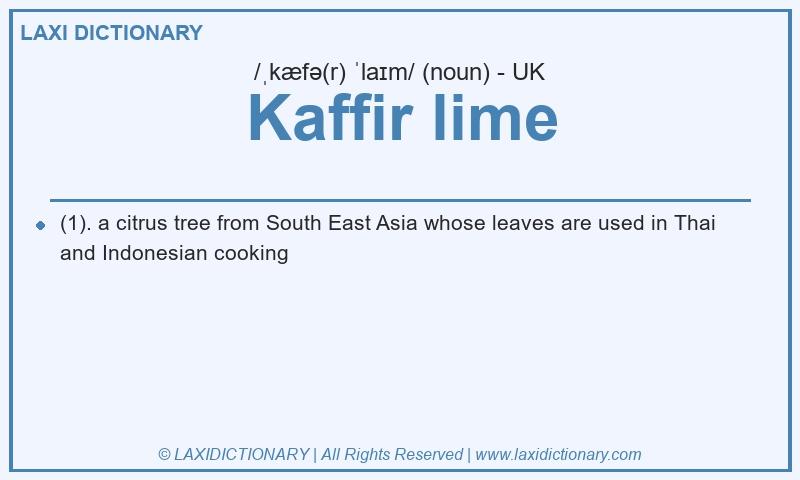 Definition Kaffir lime in British English