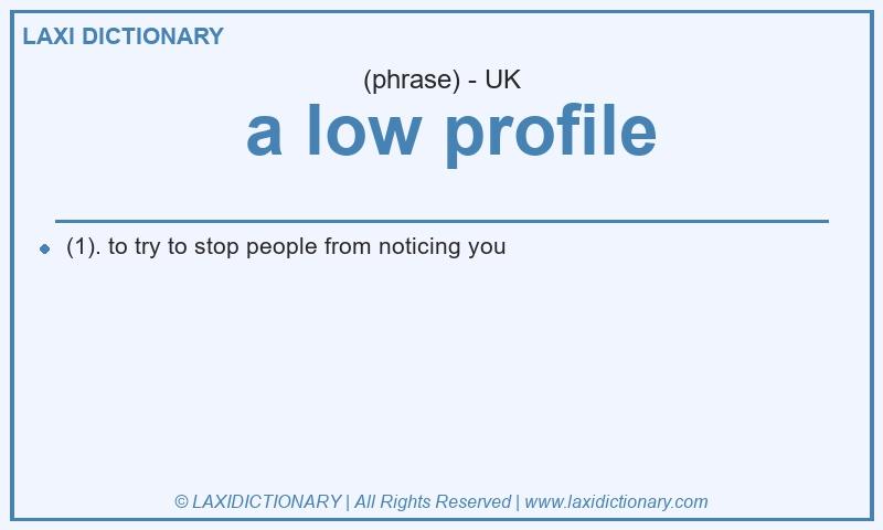 Definition  a low profile in British English