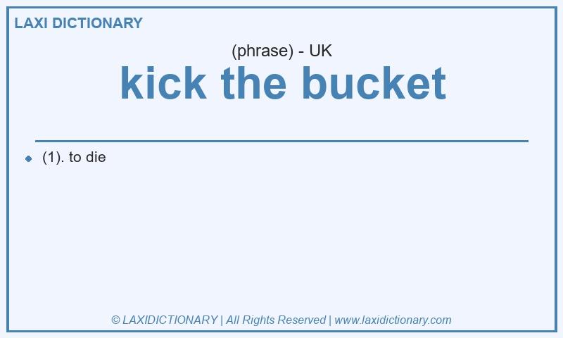 Definition kick the bucket in British English