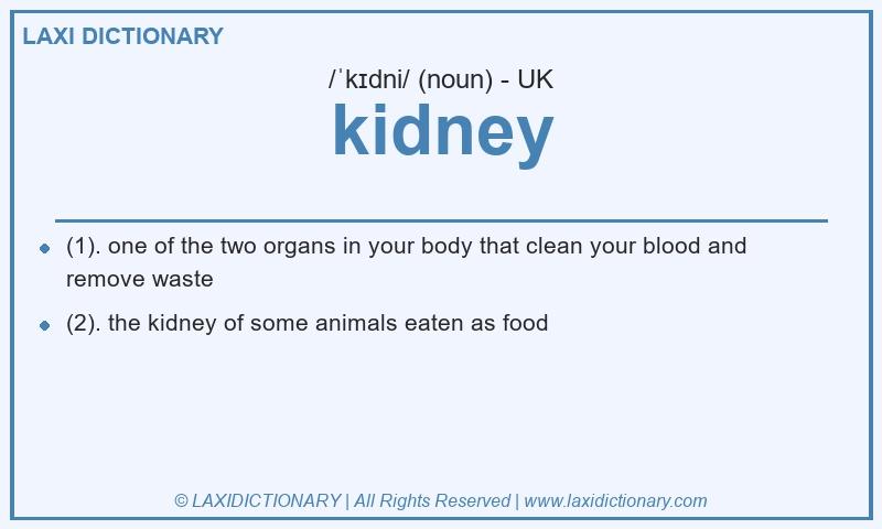 Definition kidney in British English