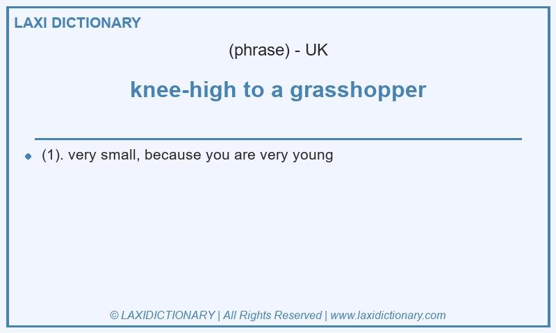 Definition knee-high to a grasshopper in British English