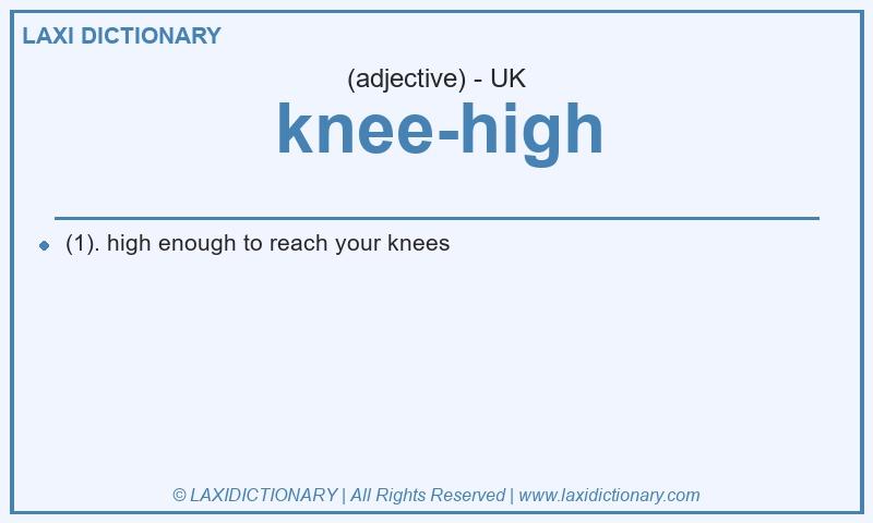 Definition knee-high in British English