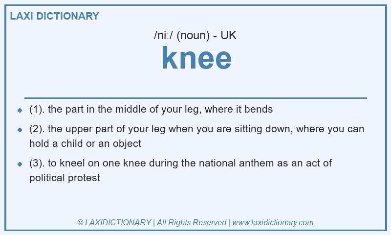 Definition knee in British English
