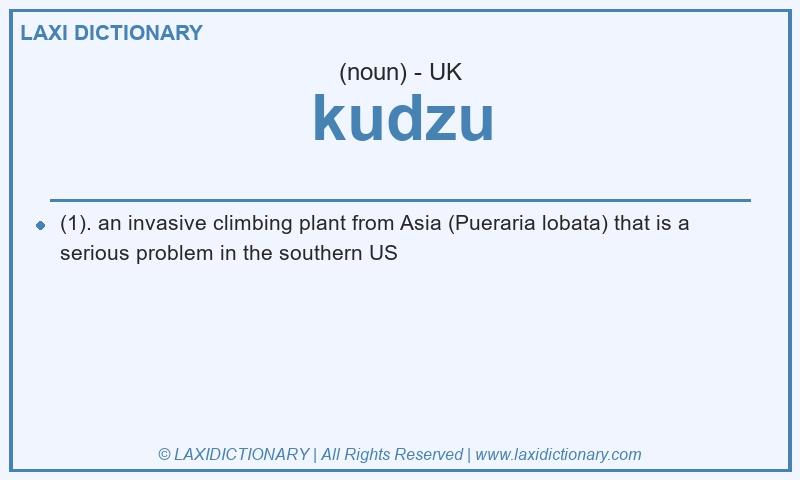 Definition kudzu in British English