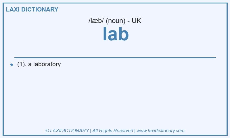 Definition lab in British English