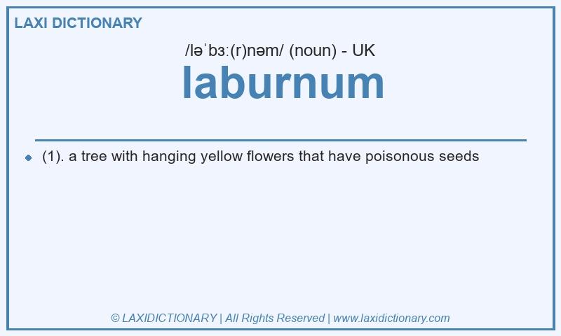 Definition laburnum in British English