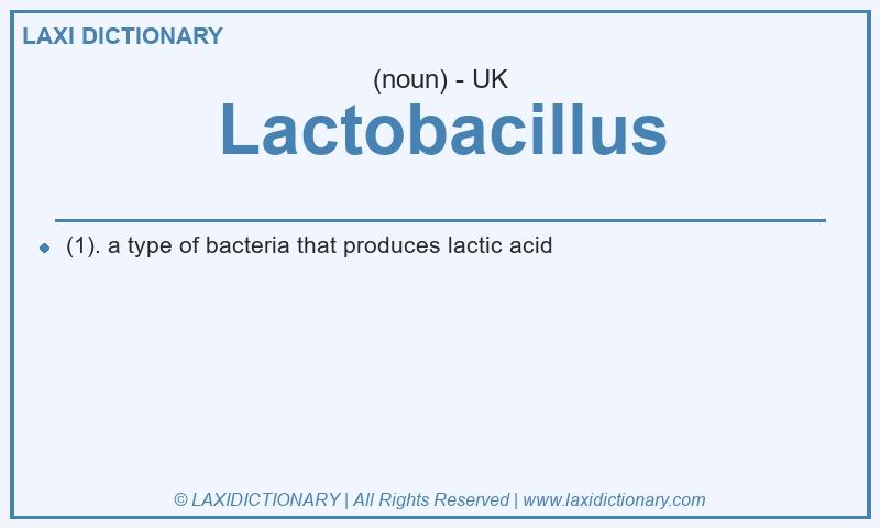 Definition Lactobacillus in British English