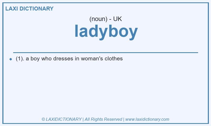 Definition ladyboy in British English