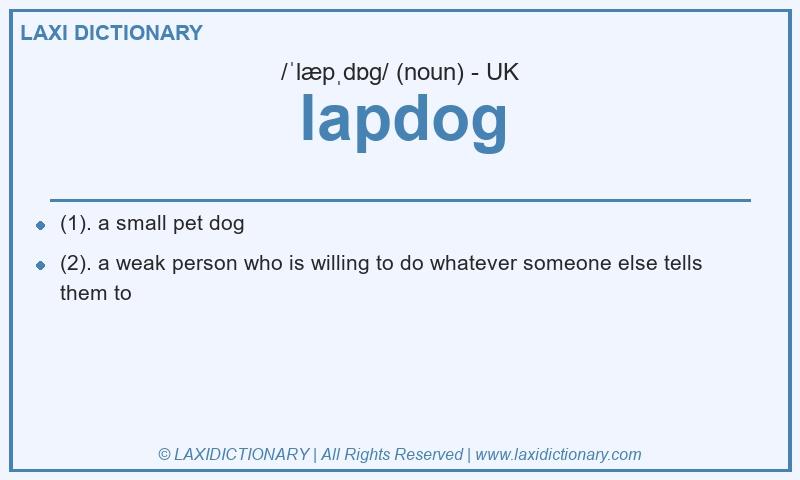 Definition lapdog in British English