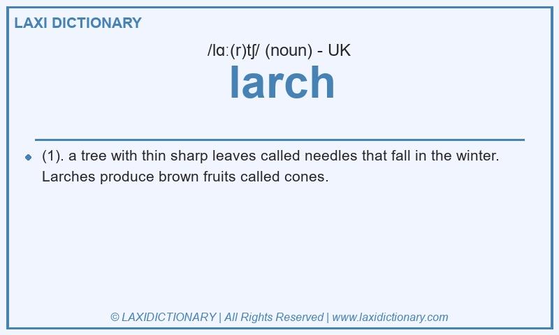Definition larch in British English