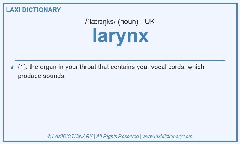 Definition larynx in British English