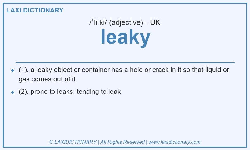 Definition leaky in British English