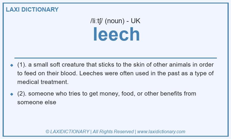 Definition leech in British English