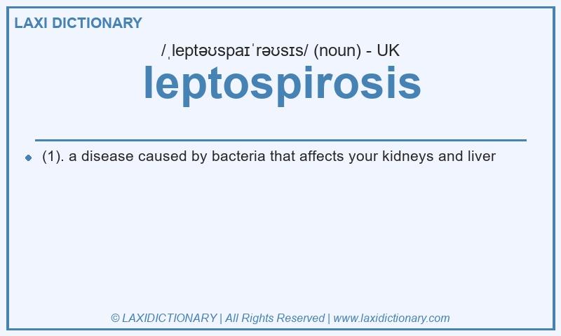 Definition leptospirosis in British English