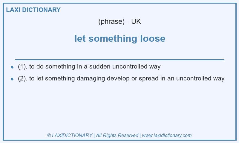 Definition let something loose in British English