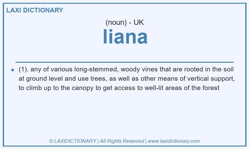 Definition liana in British English