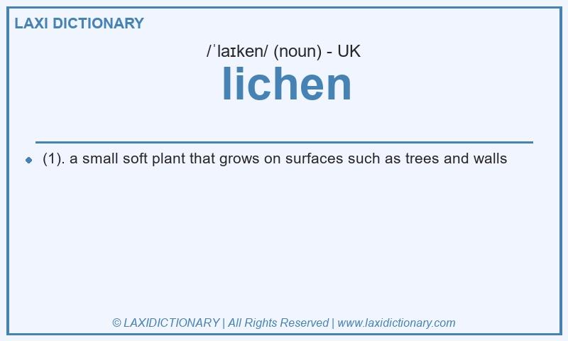 Definition lichen in British English