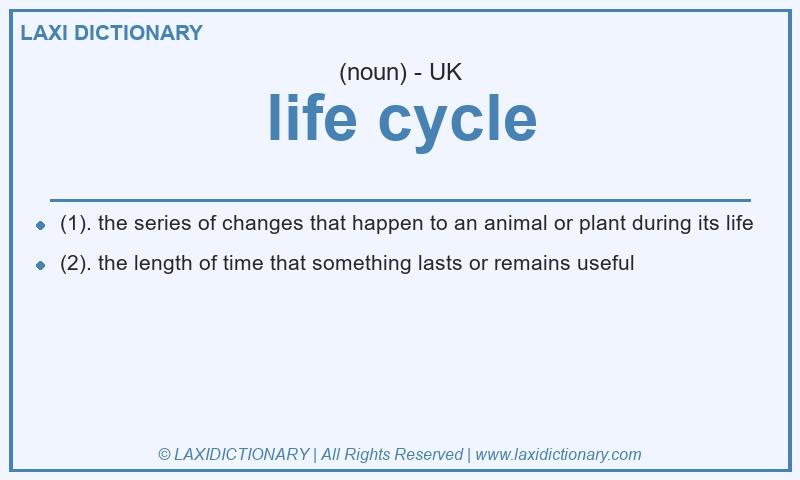 Definition life cycle in British English