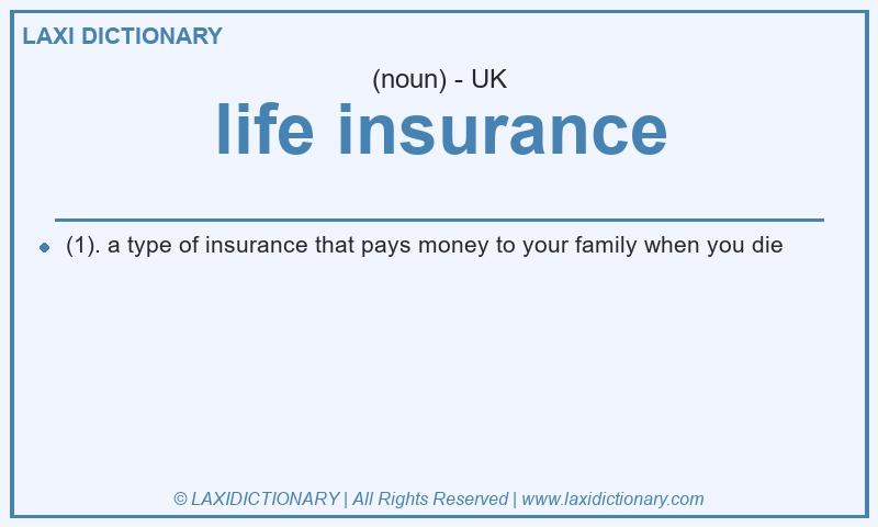 Definition life insurance in British English
