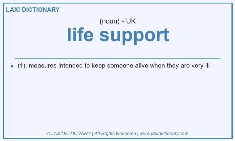 Definition life support in British English