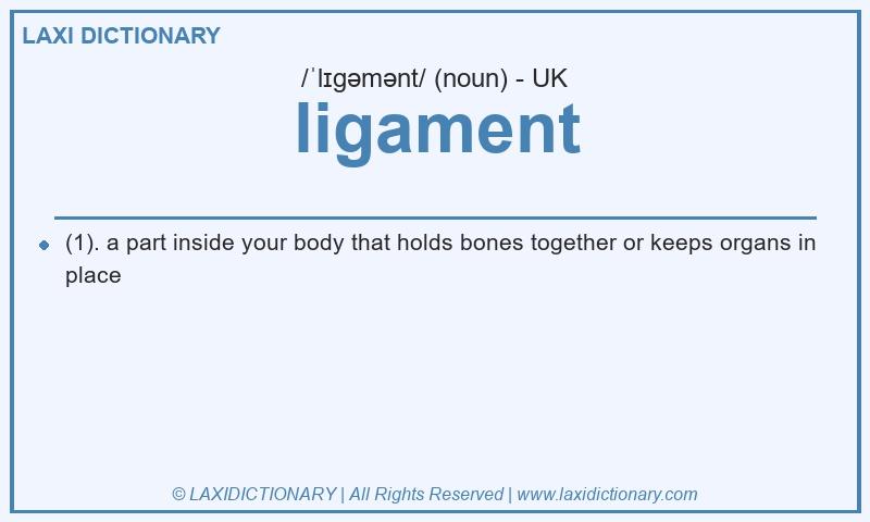 Definition ligament in British English