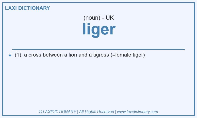 Definition liger in British English