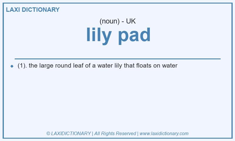 Definition lily pad in British English