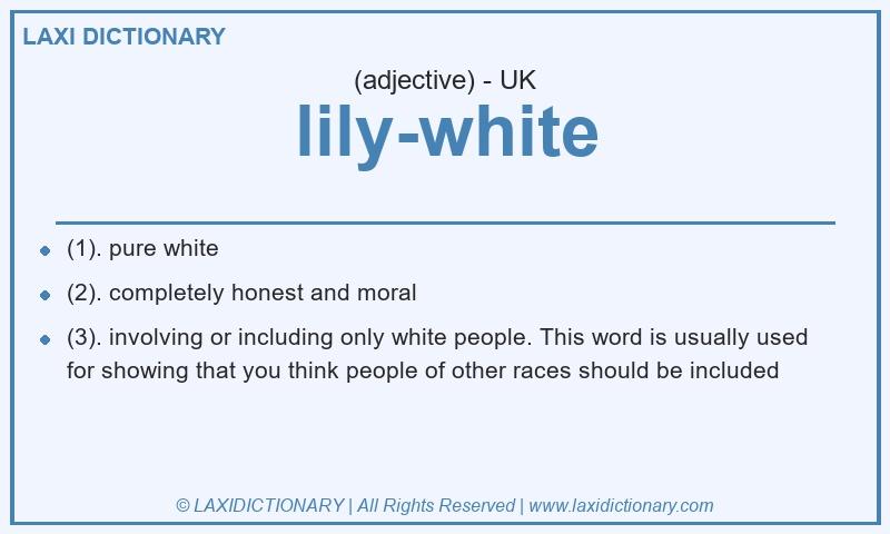 Definition lily-white in British English