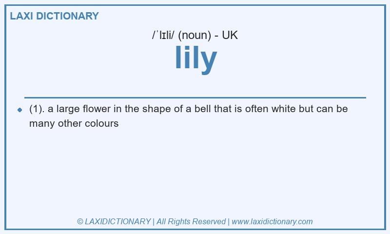 Definition lily in British English