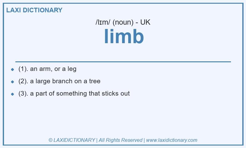Definition limb in British English